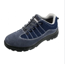title test:newwwwwlalalla Color 456 cff input num 1