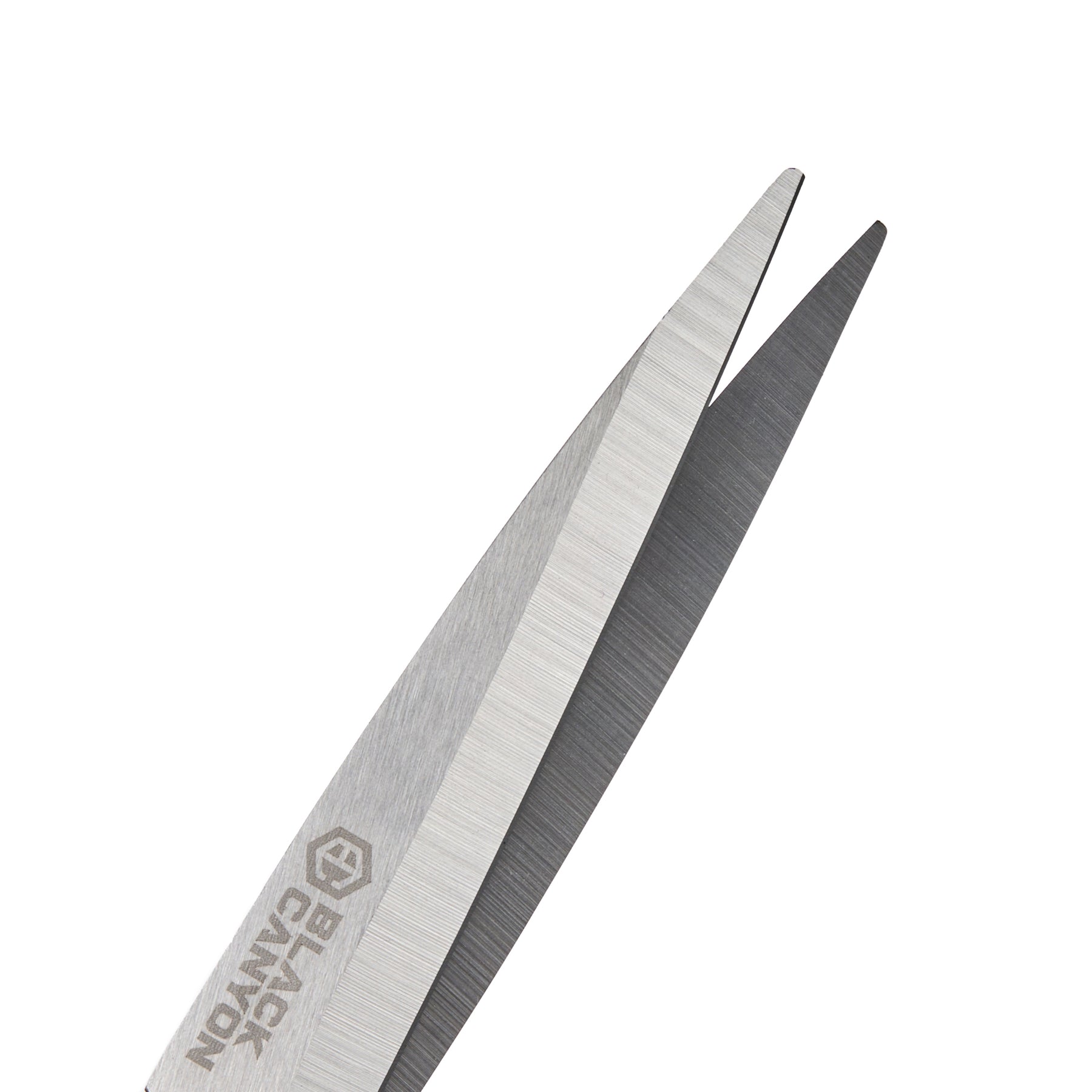 Stainless Steel Scissors, Ambidextrous, Black