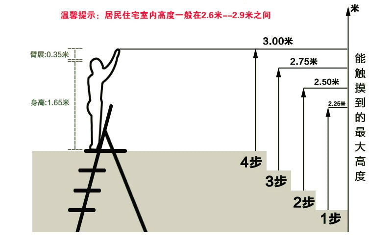 Customs Declaration Test5 test04